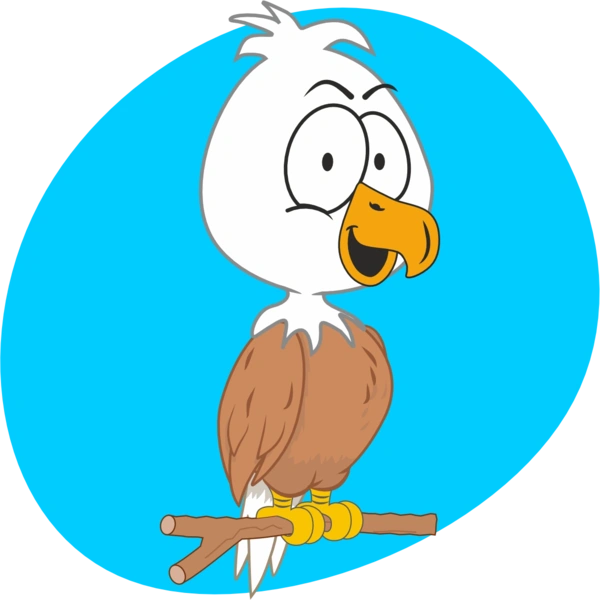  No Nest
