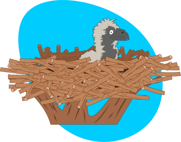  Eaglet