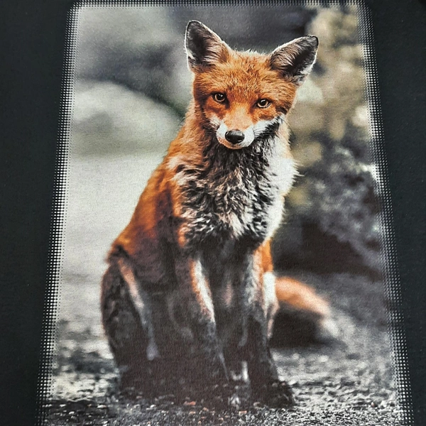 Fox Image Dtg Printed To Black T-shirt