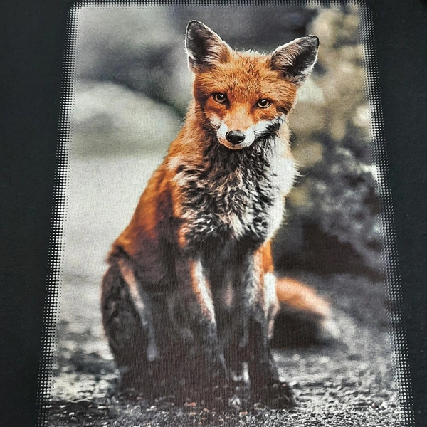 Fox Image Dtg Printed To Black T-shirt